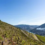Κατάλυμα σε φάρμα Wine Tourism - Quinta Dos Murcas *
