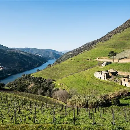 Farm stay Wine Tourism - Quinta Dos Murcas Covelinhas
