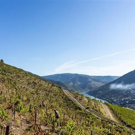 Farm stay Wine Tourism - Quinta Dos Murcas *