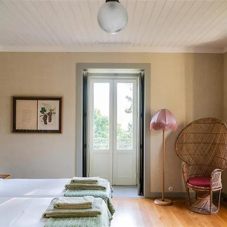 Wine Tourism - Quinta Dos Murcas Farm stay