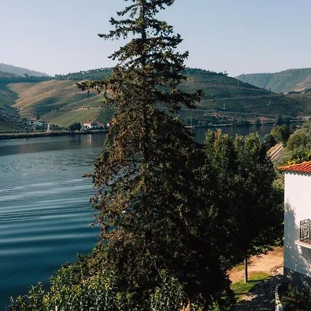 Κατάλυμα σε φάρμα Wine Tourism - Quinta Dos Murcas *