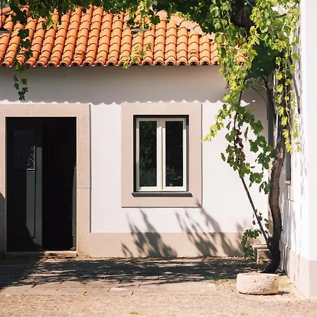 Κατάλυμα σε φάρμα Wine Tourism - Quinta Dos Murcas Covelinhas
