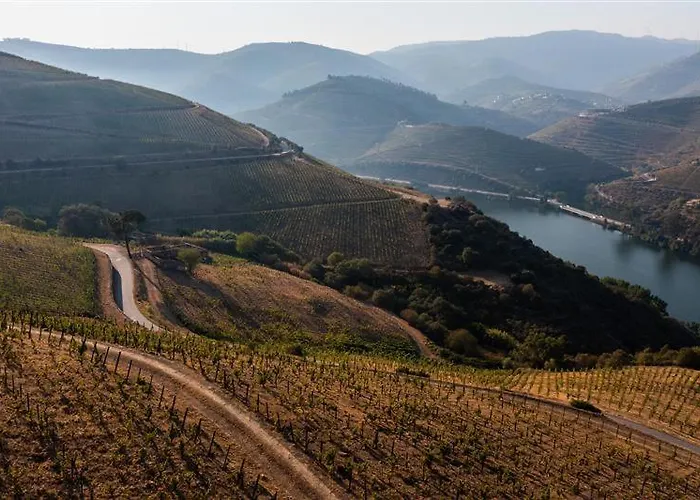 Wine Tourism - Quinta Dos Murcas בית חווה *