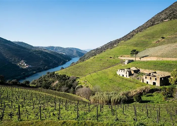 Bauernhof Wine Tourism - Quinta Dos Murcas Covelinhas
