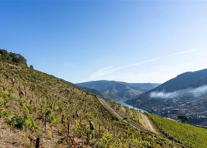 Bauernhof Wine Tourism - Quinta Dos Murcas *