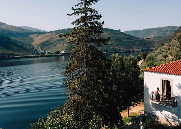 Bauernhof Wine Tourism - Quinta Dos Murcas *