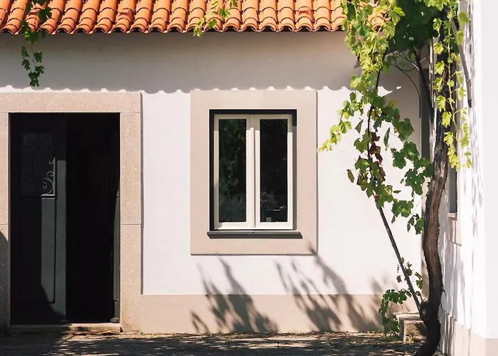 Bauernhof Wine Tourism - Quinta Dos Murcas Covelinhas